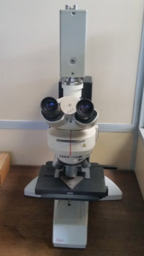 amvmeca-controle-au-microscope