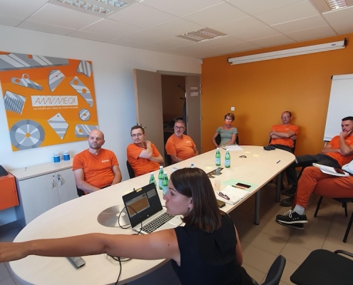 RSE plan action AMVMECA